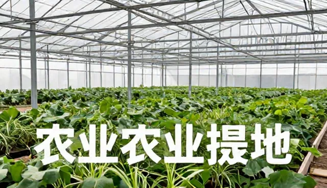 如何用减压提示词缓解办公压力？